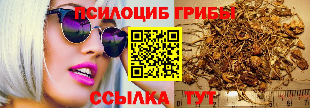 Галлюциногенные грибы GOLDEN TEACHER  Вход с VPN  Куйбышев 