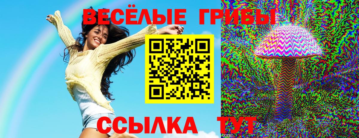 Псилоцибиновые грибы MAGIC MUSHROOMS Куйбышев